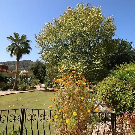度假居 Kaya Vadi Villas