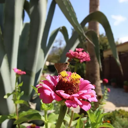 Kaya Vadi Villas Kayakoy